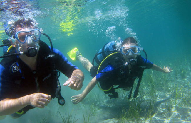 Batismo de mergulho em Nea Makri - Foto 5